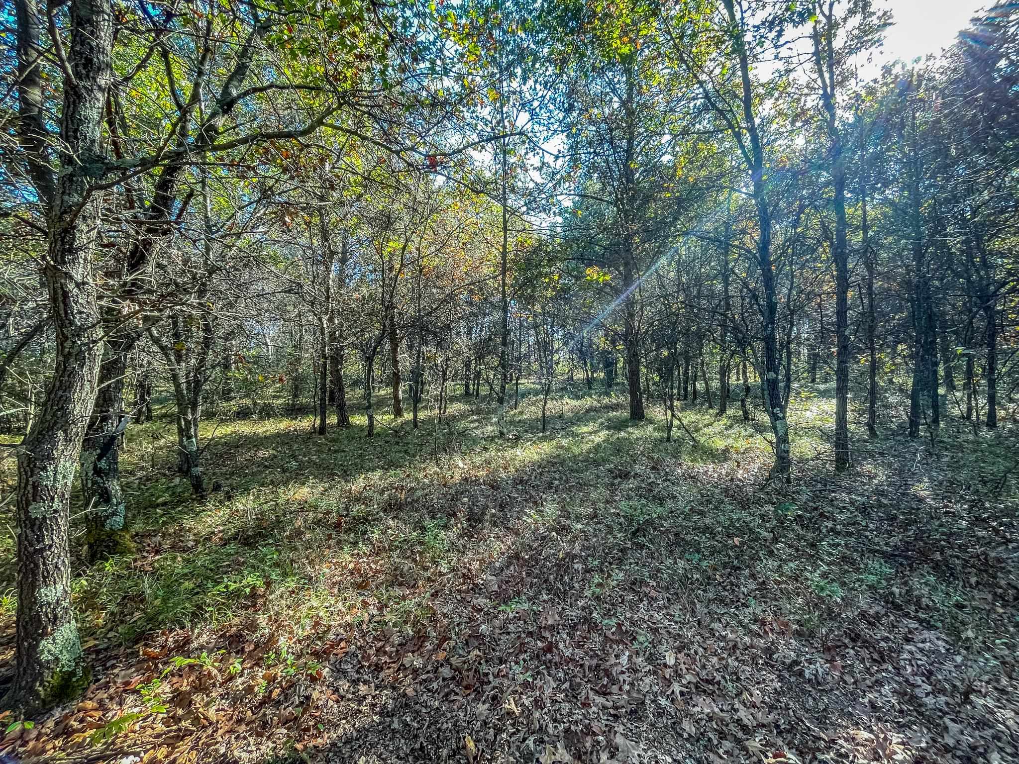 N14965 Pine Necedah, WI 54646 - Photo 60 of 90