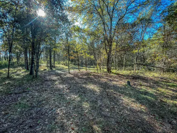 $699,900 | N14965 Pine, Necedah, WI 54646