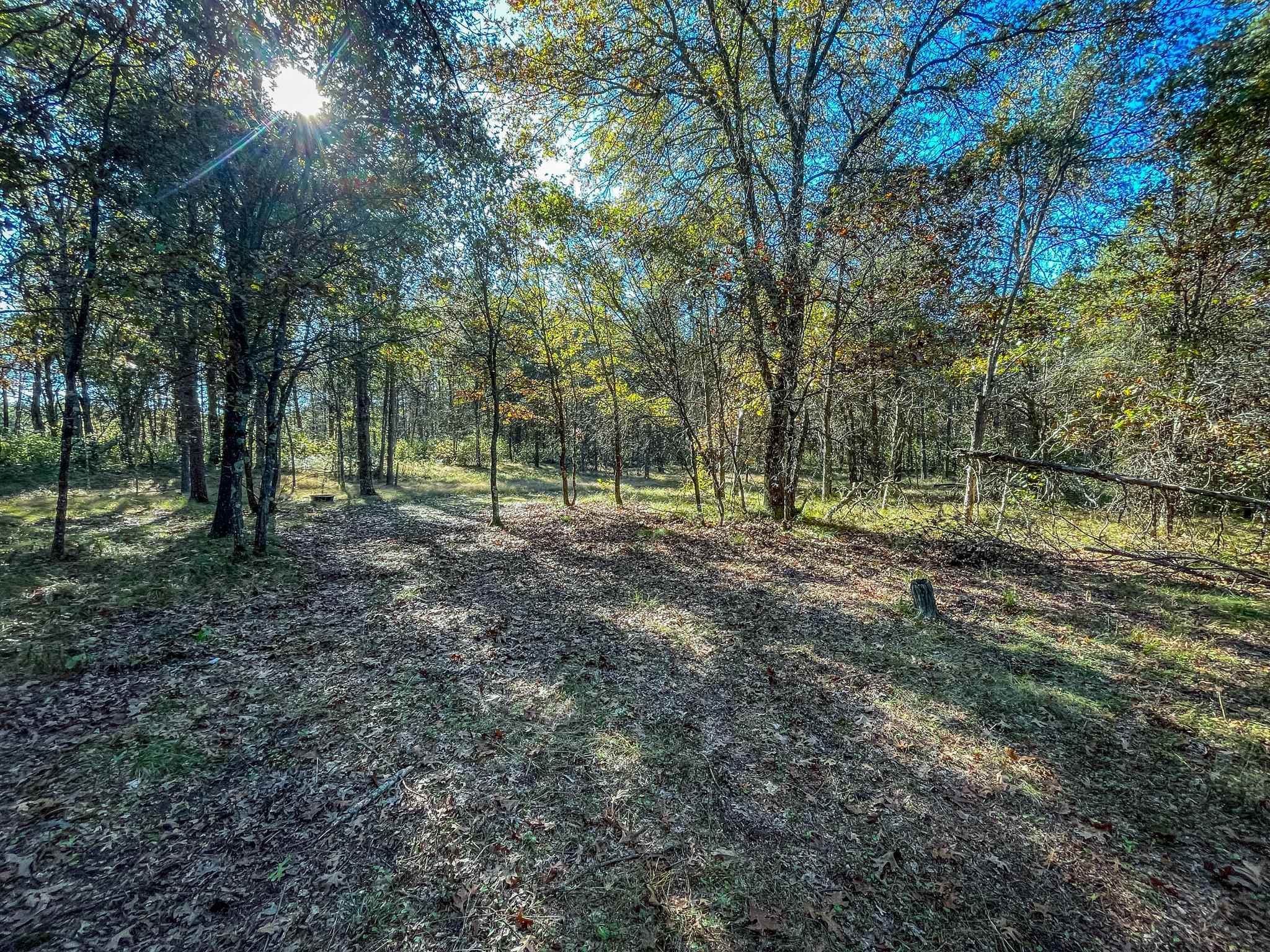 N14965 Pine Necedah, WI 54646 - Photo 61 of 90