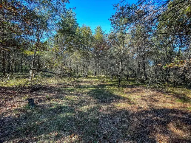 $729,900 | N14965 Pine Necedah Wi 54646, Necedah, WI 54646