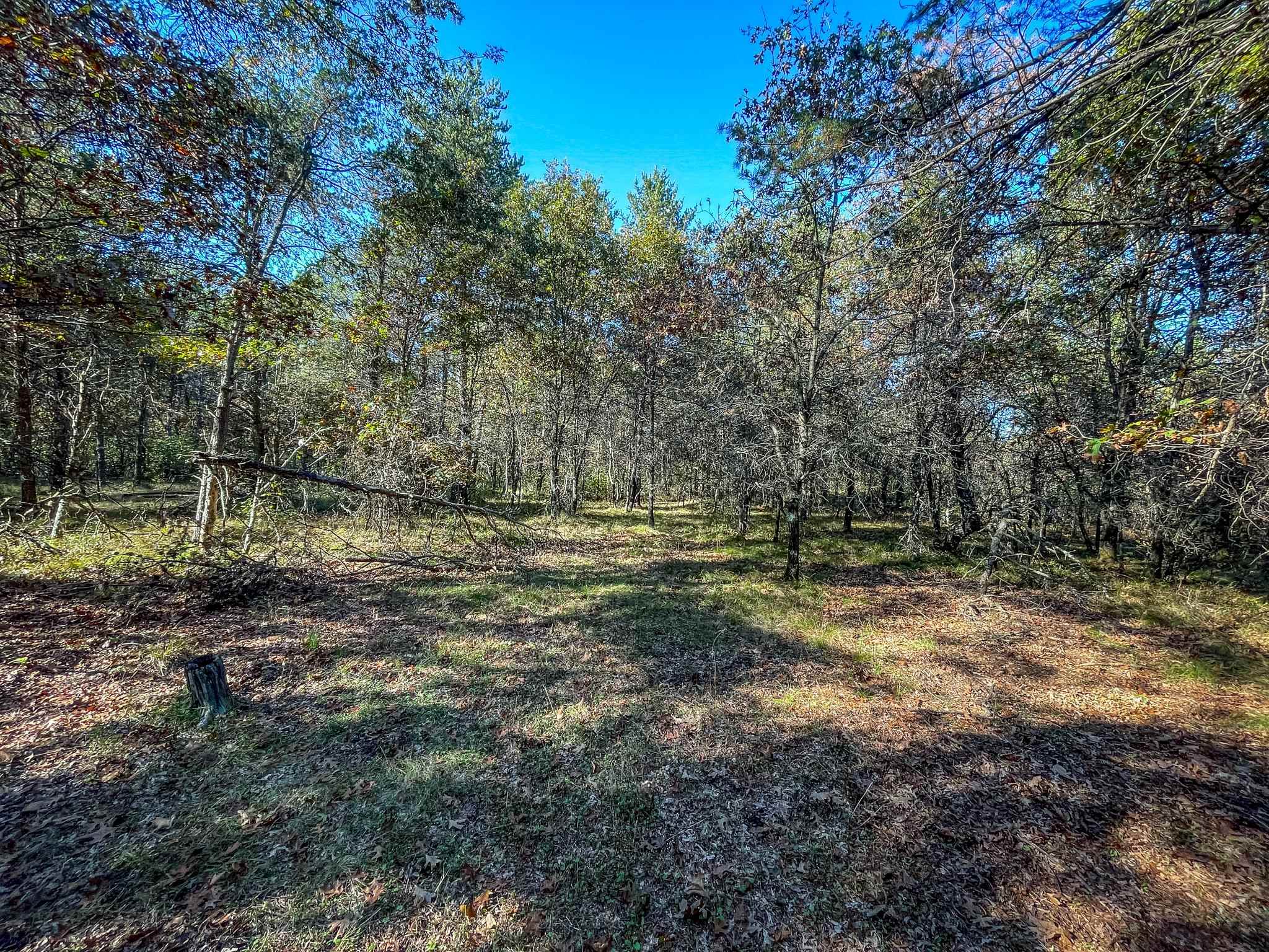 N14965 Pine Necedah, WI 54646 - Photo 62 of 90