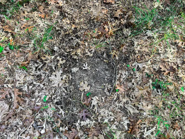 $699,900 | N14965 Pine, Necedah, WI 54646