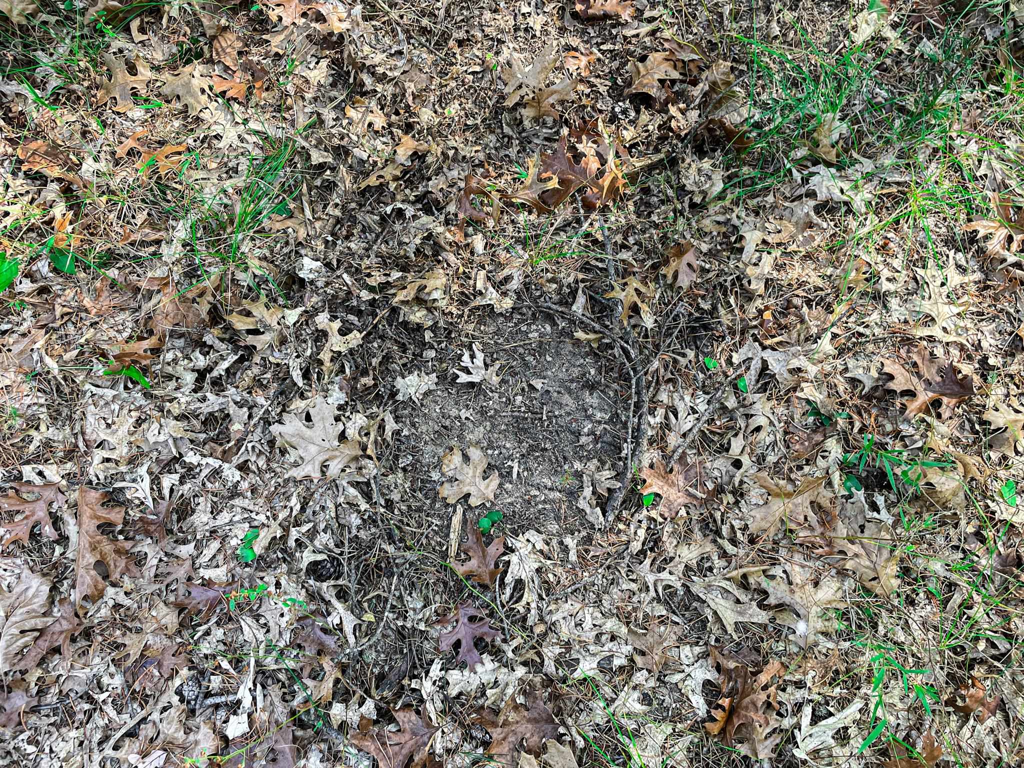 N14965 Pine Necedah, WI 54646 - Photo 63 of 90