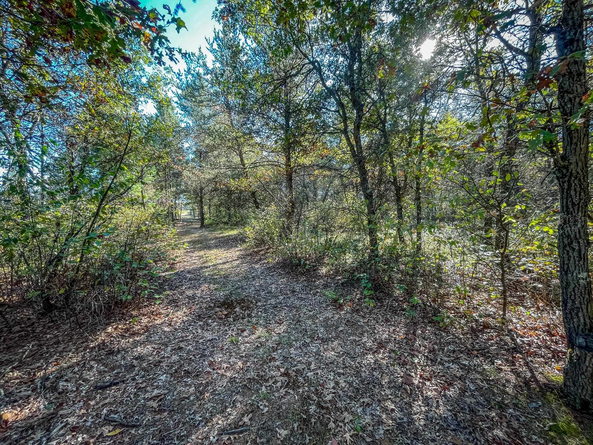 N14965 Pine Necedah, WI 54646 - Photo 64 of 90