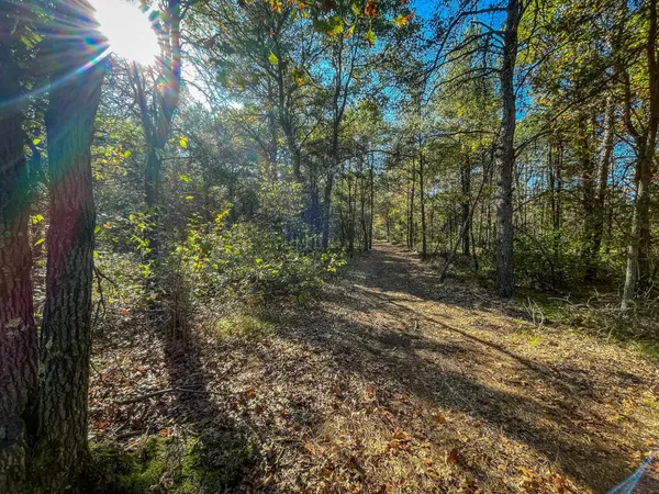 $699,900 | N14965 Pine, Necedah, WI 54646