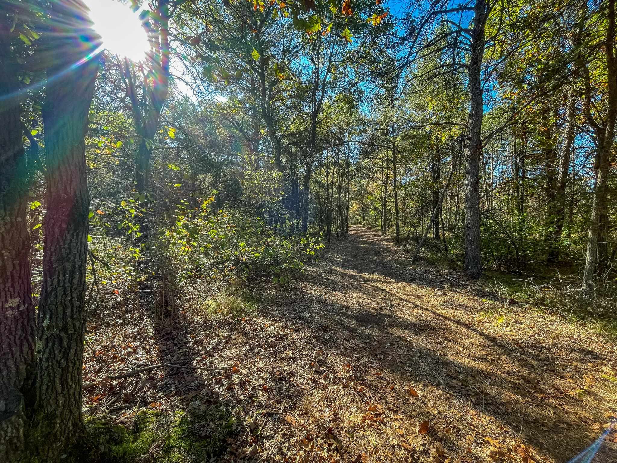 N14965 Pine Necedah, WI 54646 - Photo 65 of 90