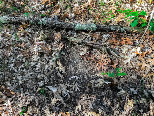 $729,900 | N14965 Pine Necedah Wi 54646, Necedah, WI 54646