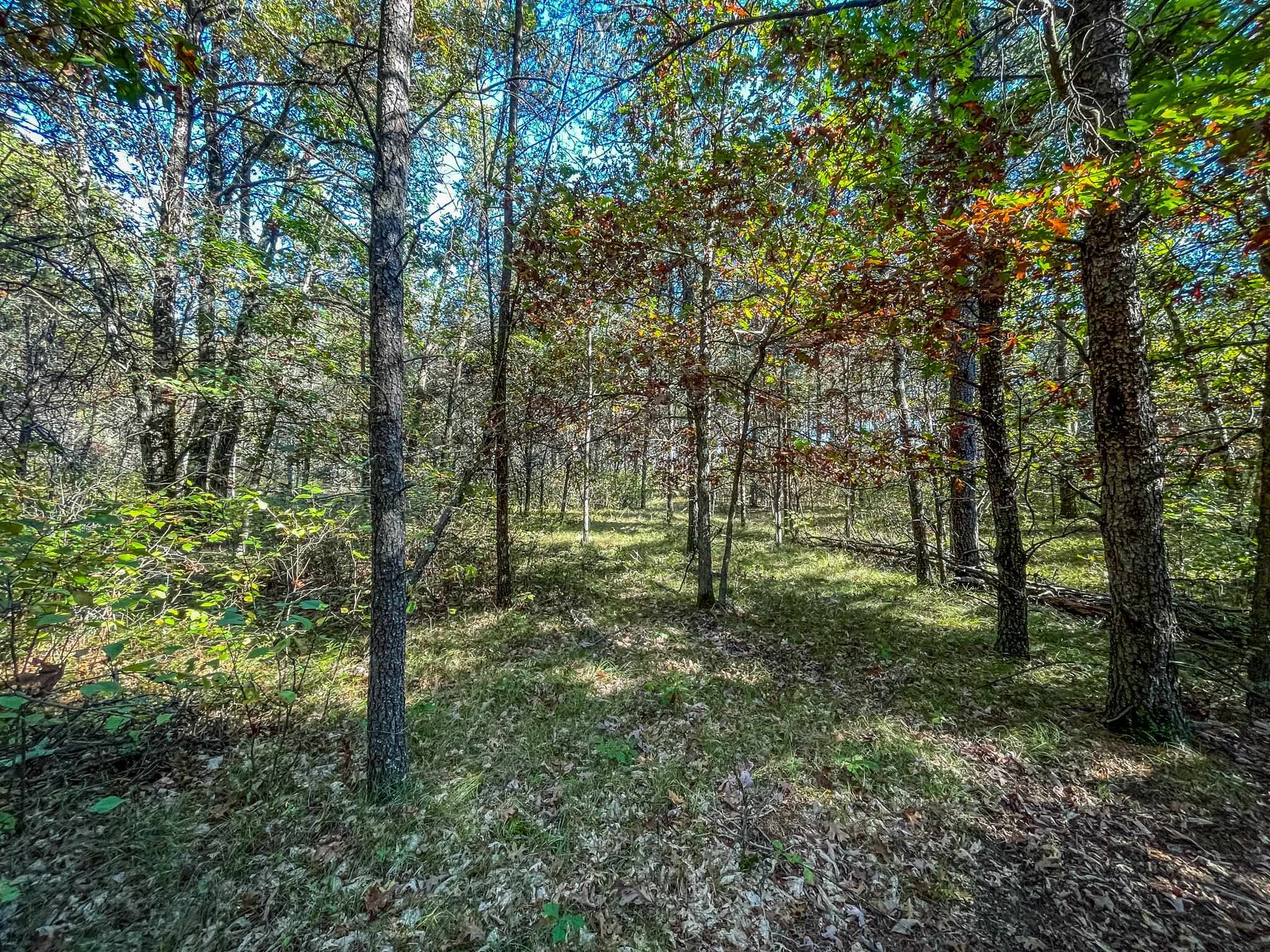 N14965 Pine Necedah, WI 54646 - Photo 67 of 90