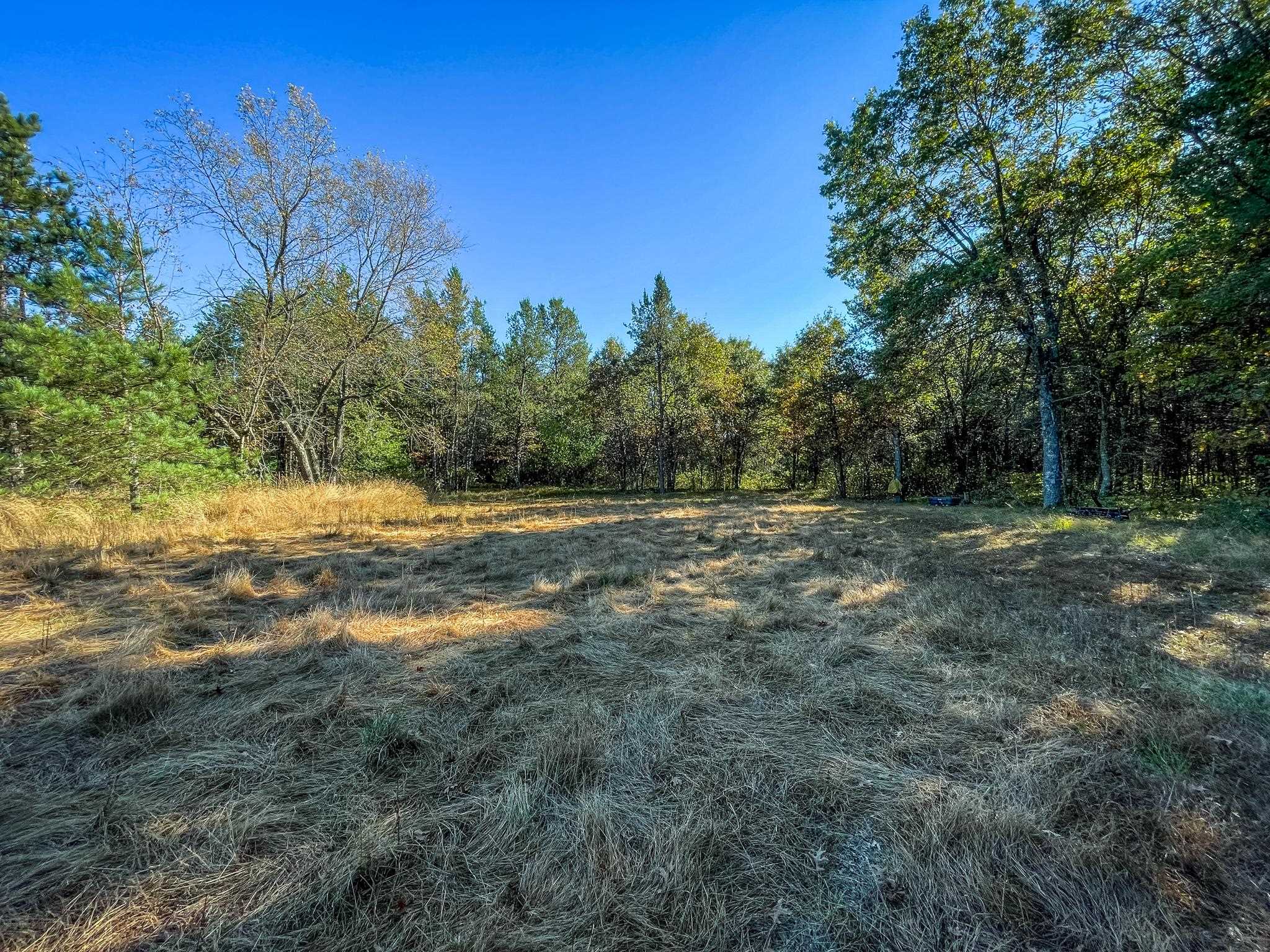 N14965 Pine Necedah, WI 54646 - Photo 73 of 90