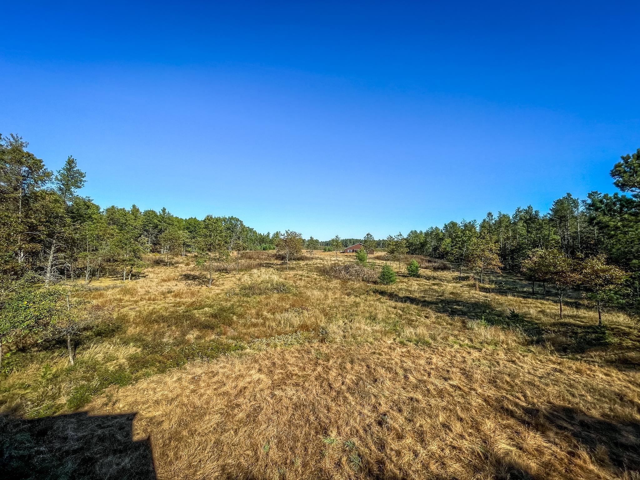 N14965 Pine Necedah, WI 54646 - Photo 76 of 90