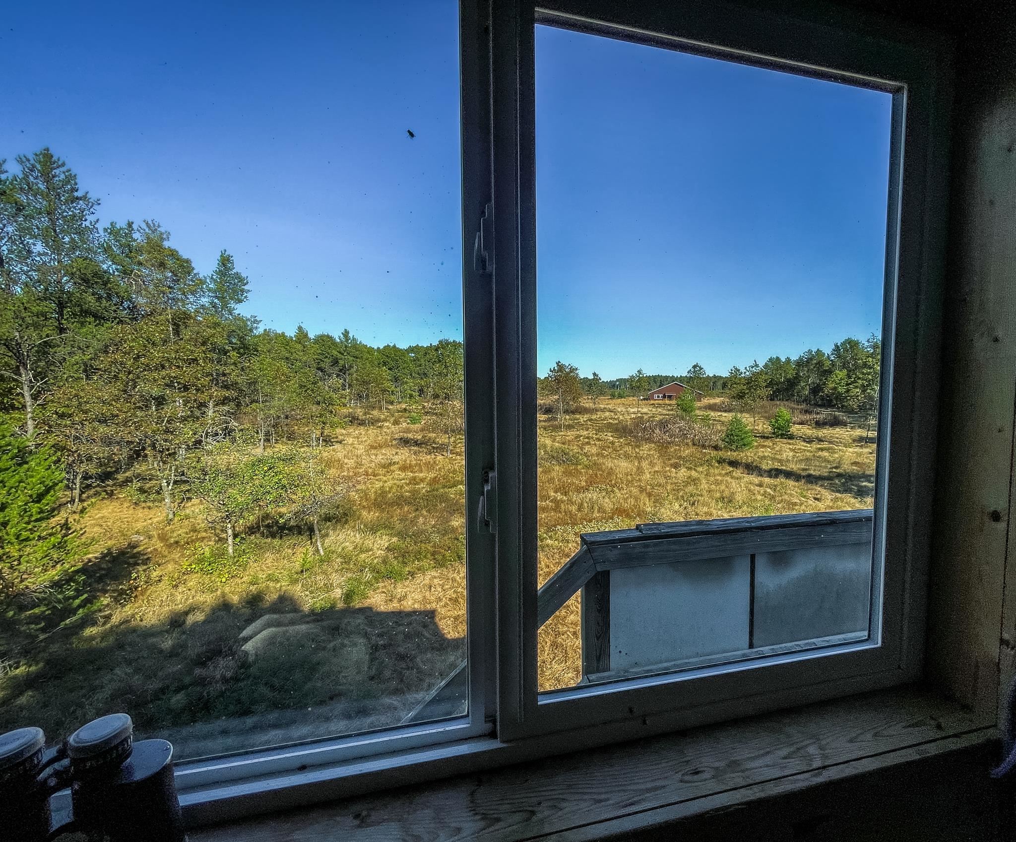 N14965 Pine Necedah, WI 54646 - Photo 79 of 90