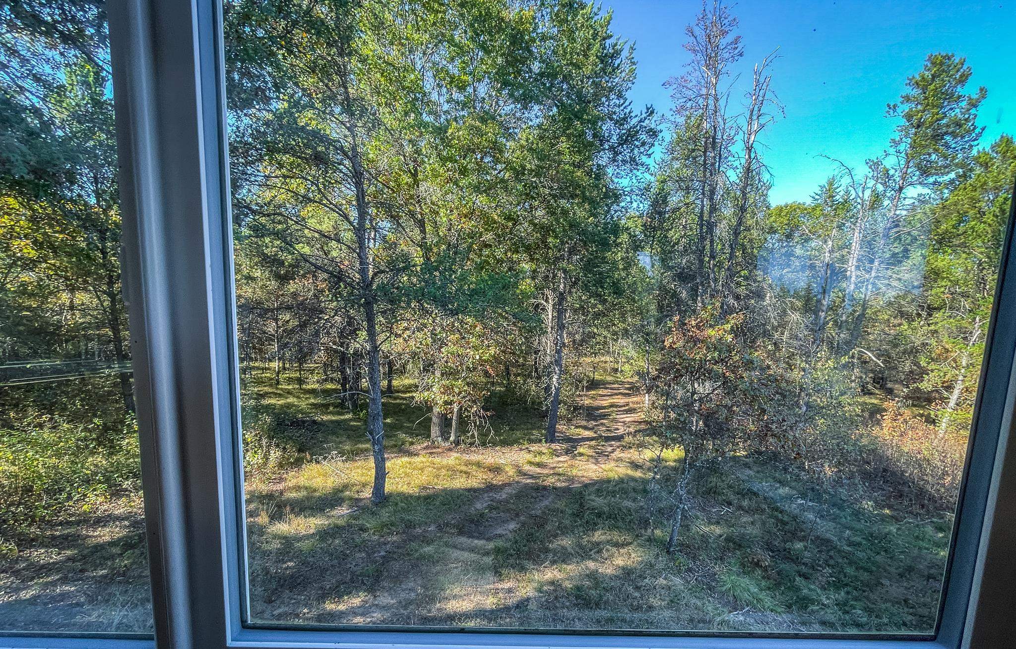N14965 Pine Necedah, WI 54646 - Photo 80 of 90