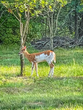 $699,900 | N14965 Pine, Necedah, WI 54646