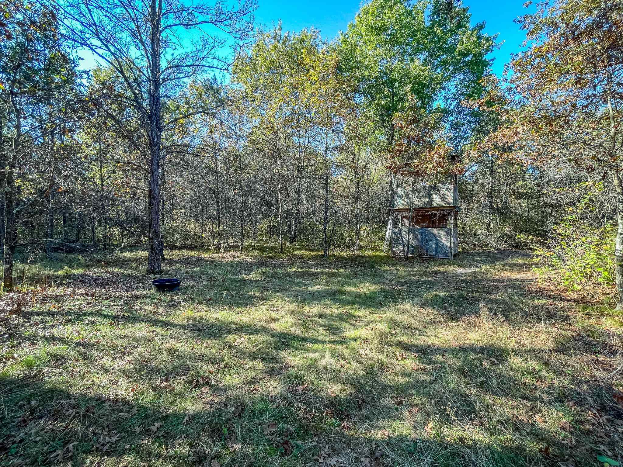 N14965 Pine Necedah, WI 54646 - Photo 85 of 90