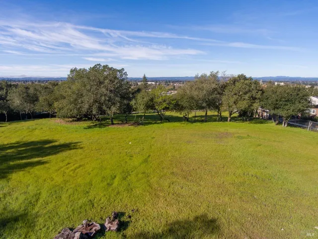 a view of a large pool with lawn chairs and large trees