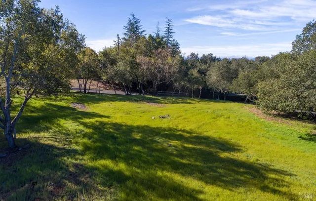 an aerial view of residential houses with outdoor space and trees