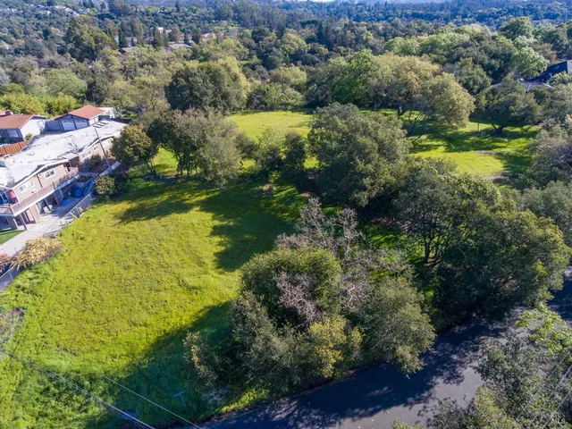 a view of a park with large trees