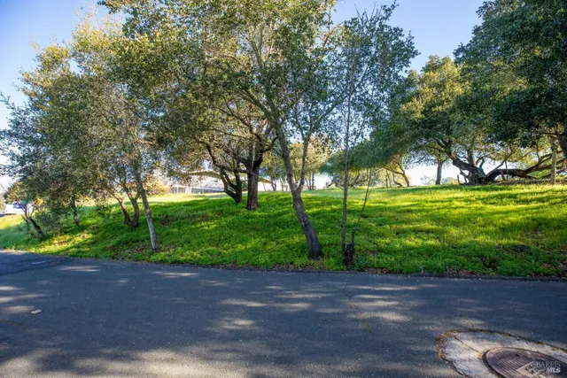 a view of big yard with trees