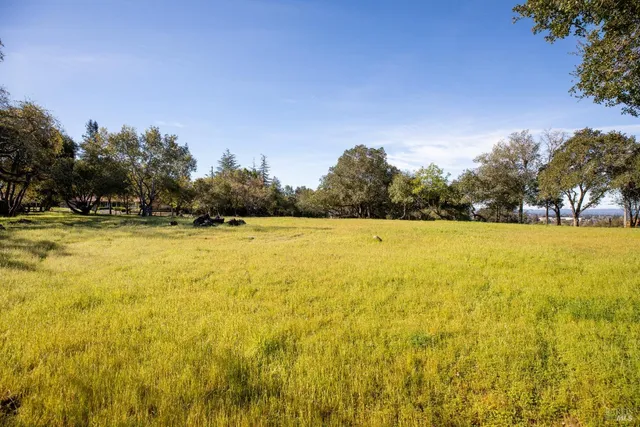 a view of a street with a trees in the background