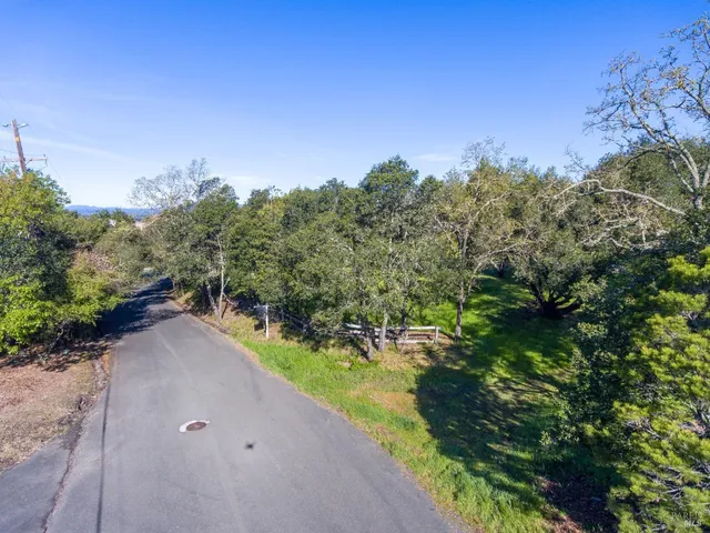 a backyard of a house with plants and large trees