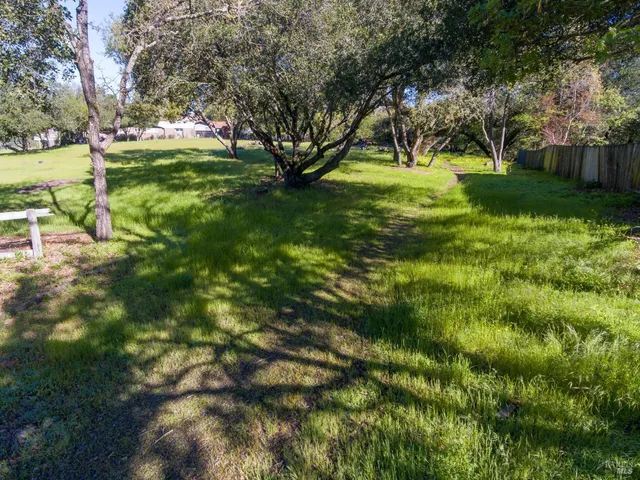 a view of yard with trees