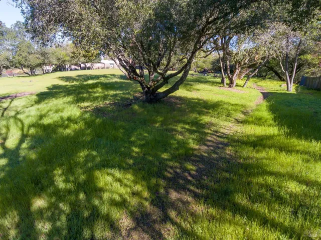 a view of yard with green space