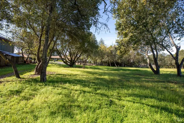 a view of swimming pool with a garden