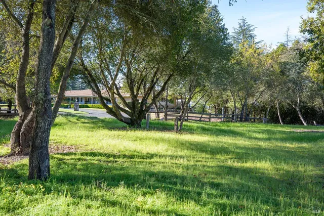 a view of yard with grass & trees