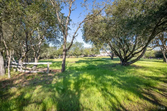 a view of yard with green space