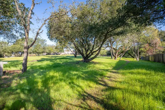 a view of field with trees