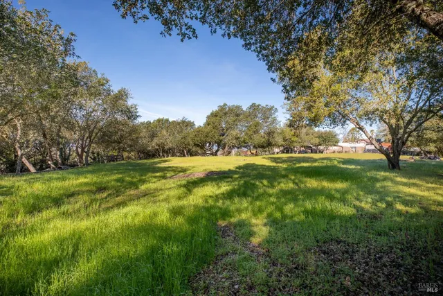 a view of outdoor space with trees all around