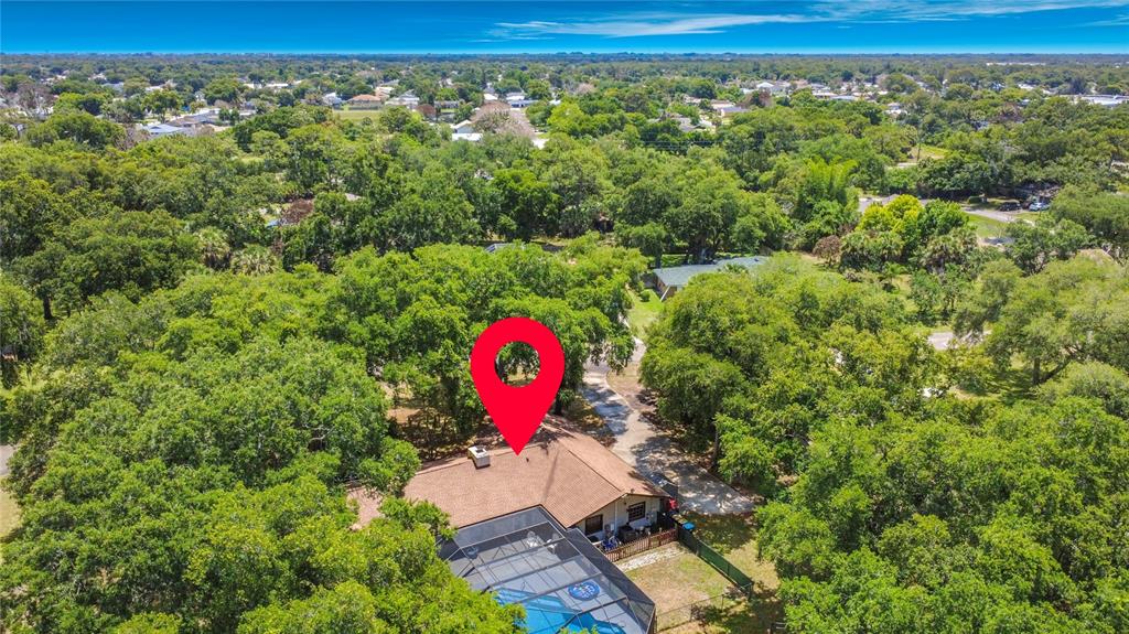 420 Nina Road Northeast Palm Bay, FL 32907 - Photo 4 of 90