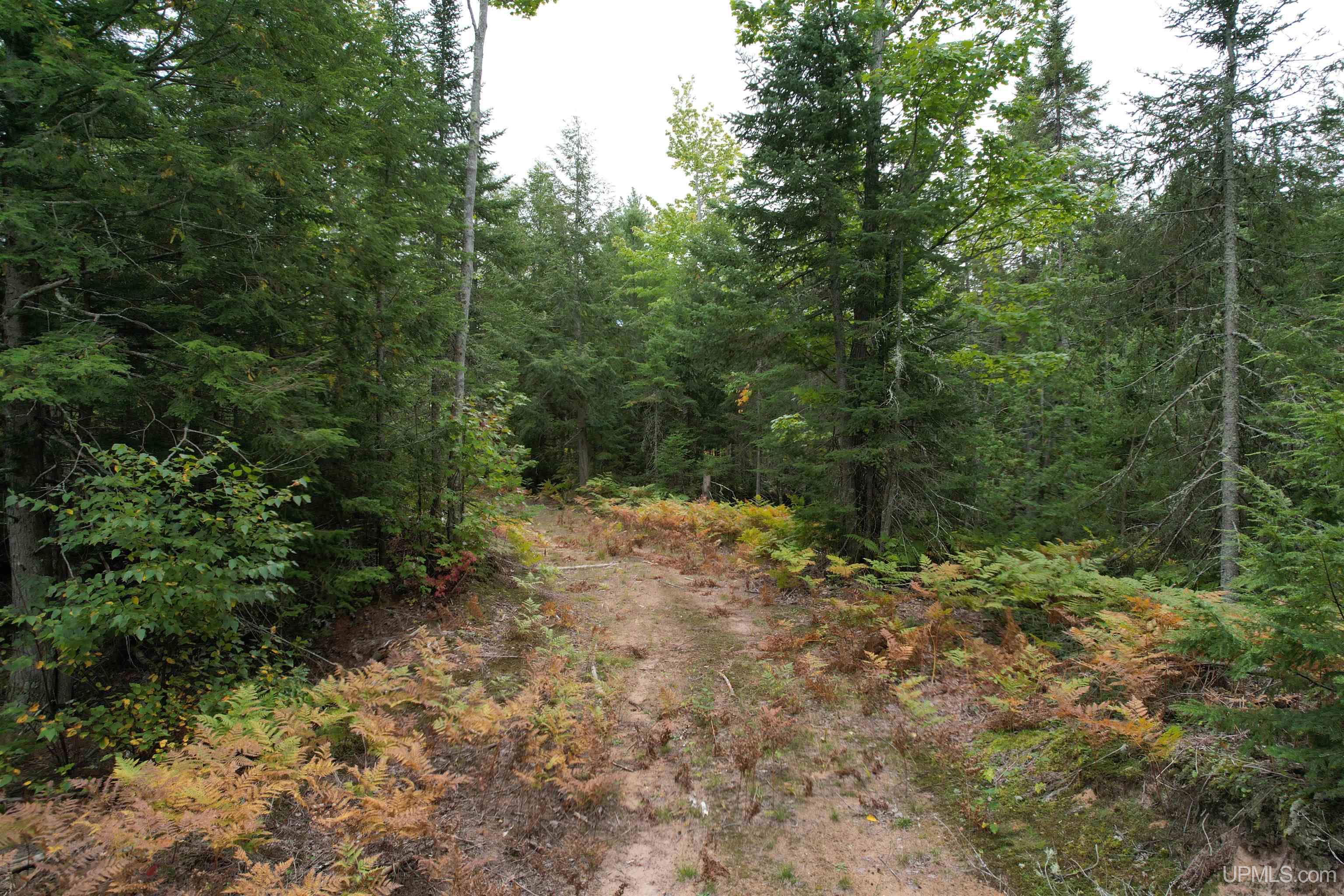 Tbd Evergreen Road Toivola, MI 49965 - Photo 59 of 62