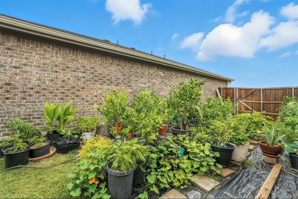 135 Exploration Way Fate, TX 75189 - Photo 27 of 35