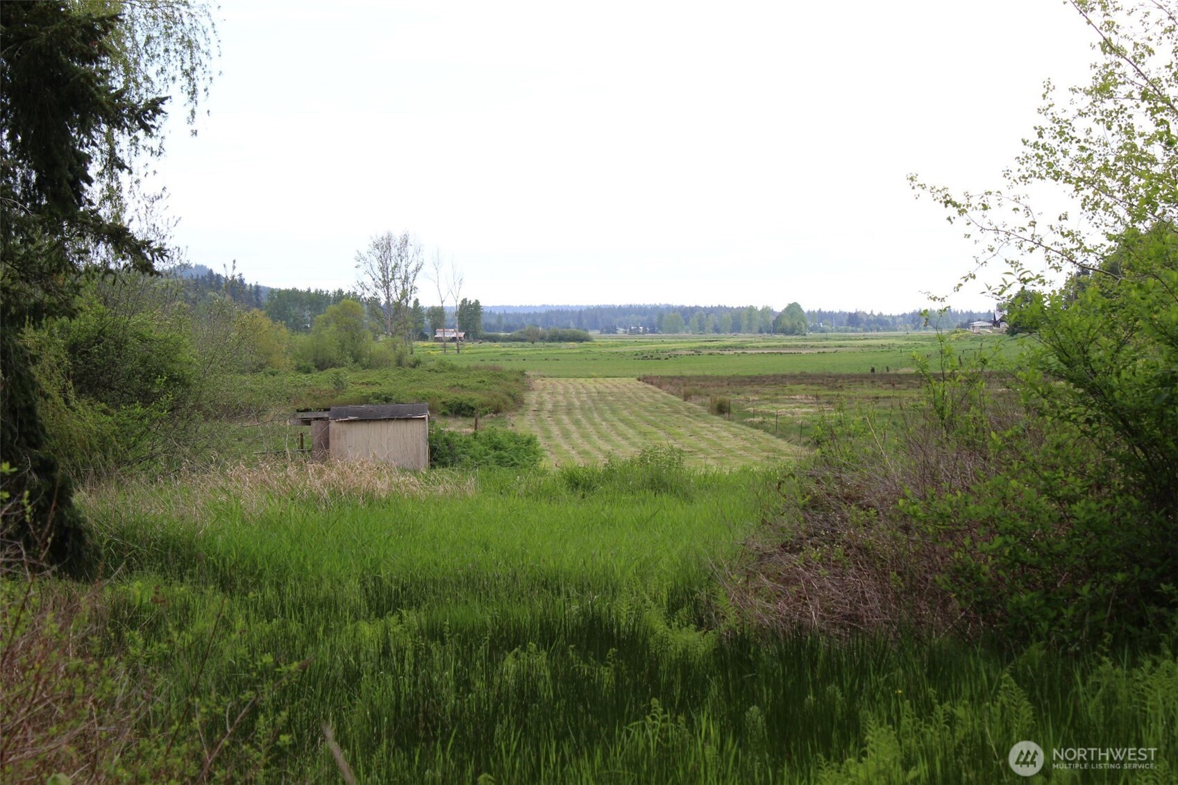 2600 Center Valley Road Chimacum, WA 98325 - Photo 4 of 14 Gallery Image 4