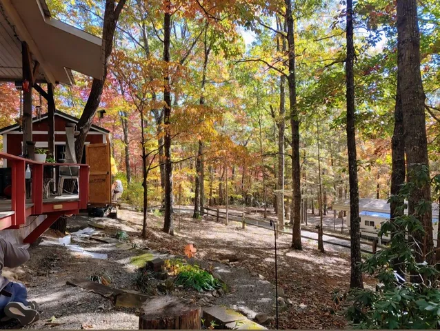 a backyard of a house with lots of green space and garden