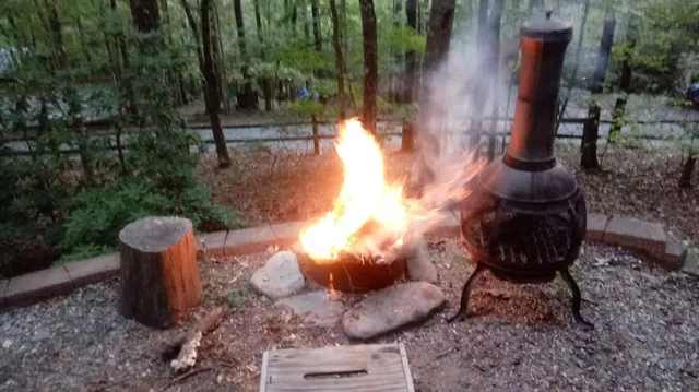 a view of park along with road