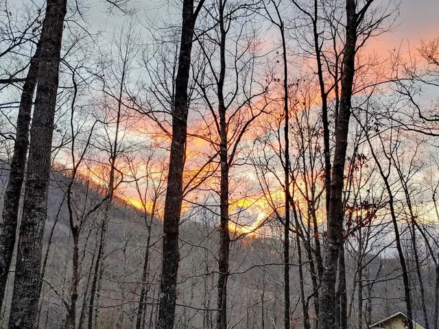 $150,000 | 119 Laurel Branch Drive, Hayesville, NC 28904