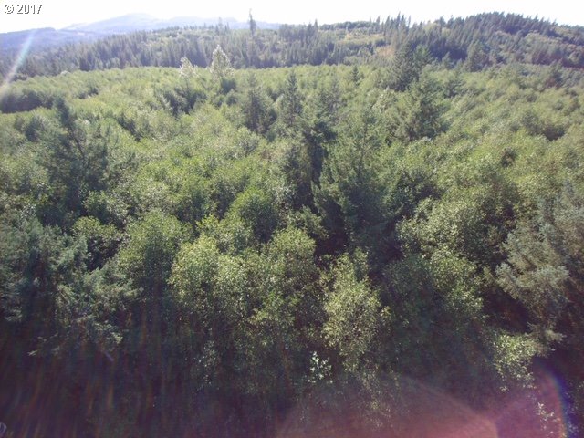 0 Northeast Thompson Road Yacolt, WA 98675 - Photo 22 of 23 Gallery Image 22