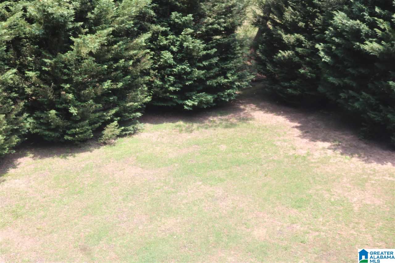 332 Deer Ridge Lane Chelsea, AL 35043 - Photo 30 of 39