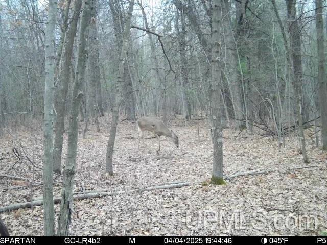 Vega Road Hermansville, MI 49847 - Photo 9 of 10 Gallery Image 9