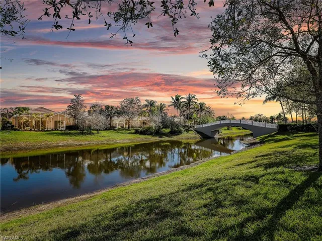 a view of a yard with plants and trees