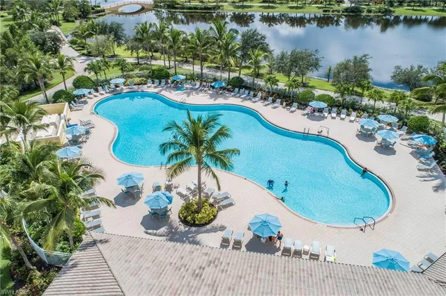 a view of a yard with plants and palm trees
