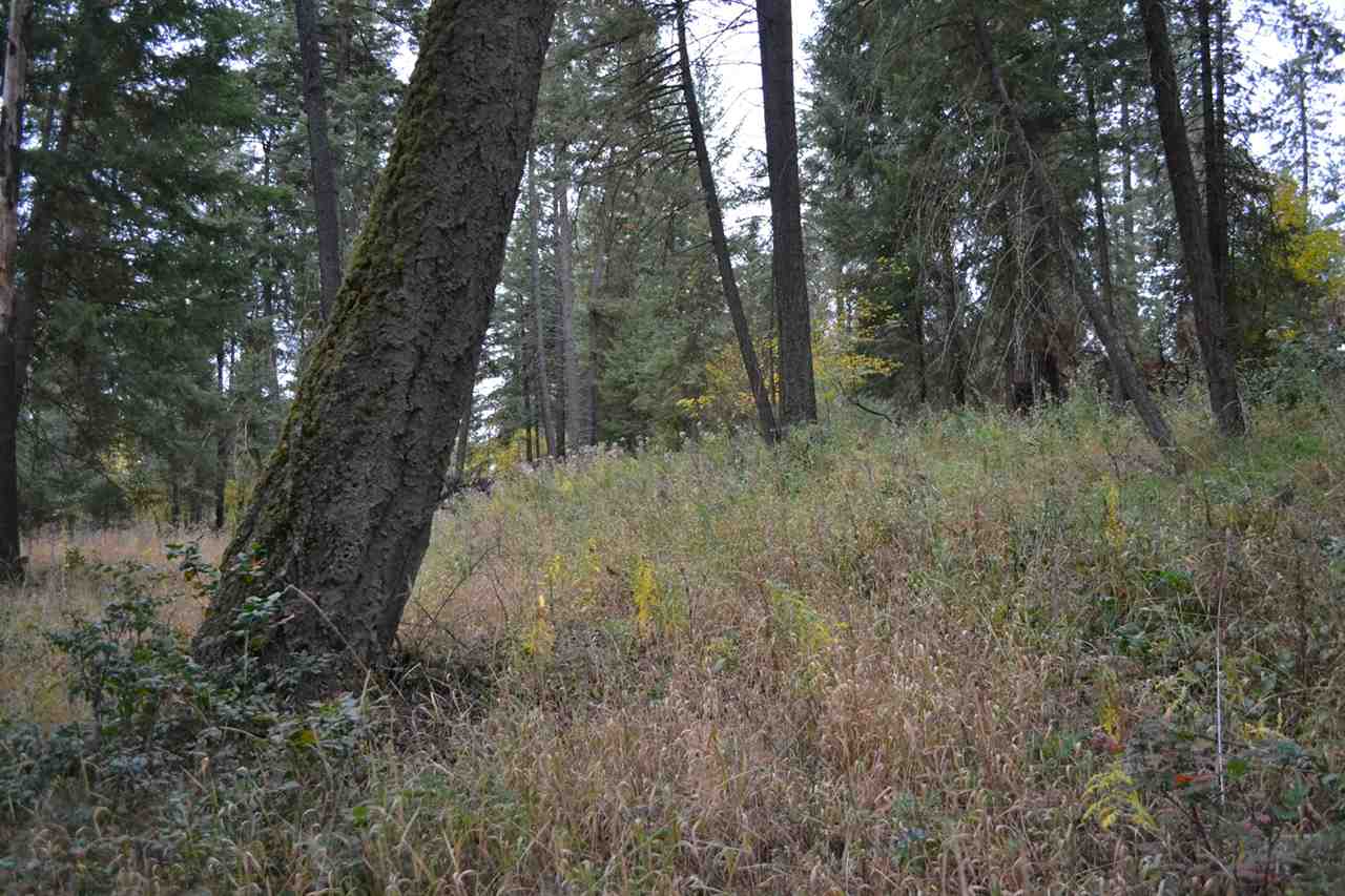 Tbd #2 West Crosscut Road Deer Park, WA 99006 - Photo 13 of 16 Gallery Image 13