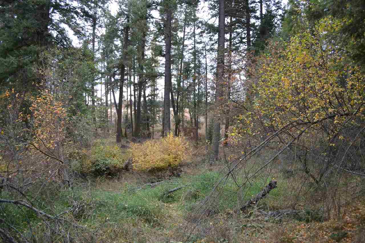 Tbd #2 West Crosscut Road Deer Park, WA 99006 - Photo 3 of 16 Gallery Image 3