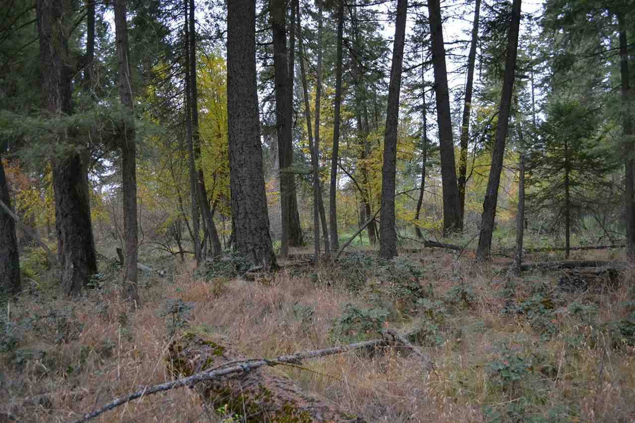Tbd #2 West Crosscut Road Deer Park, WA 99006 - Photo 9 of 16 Gallery Image 9