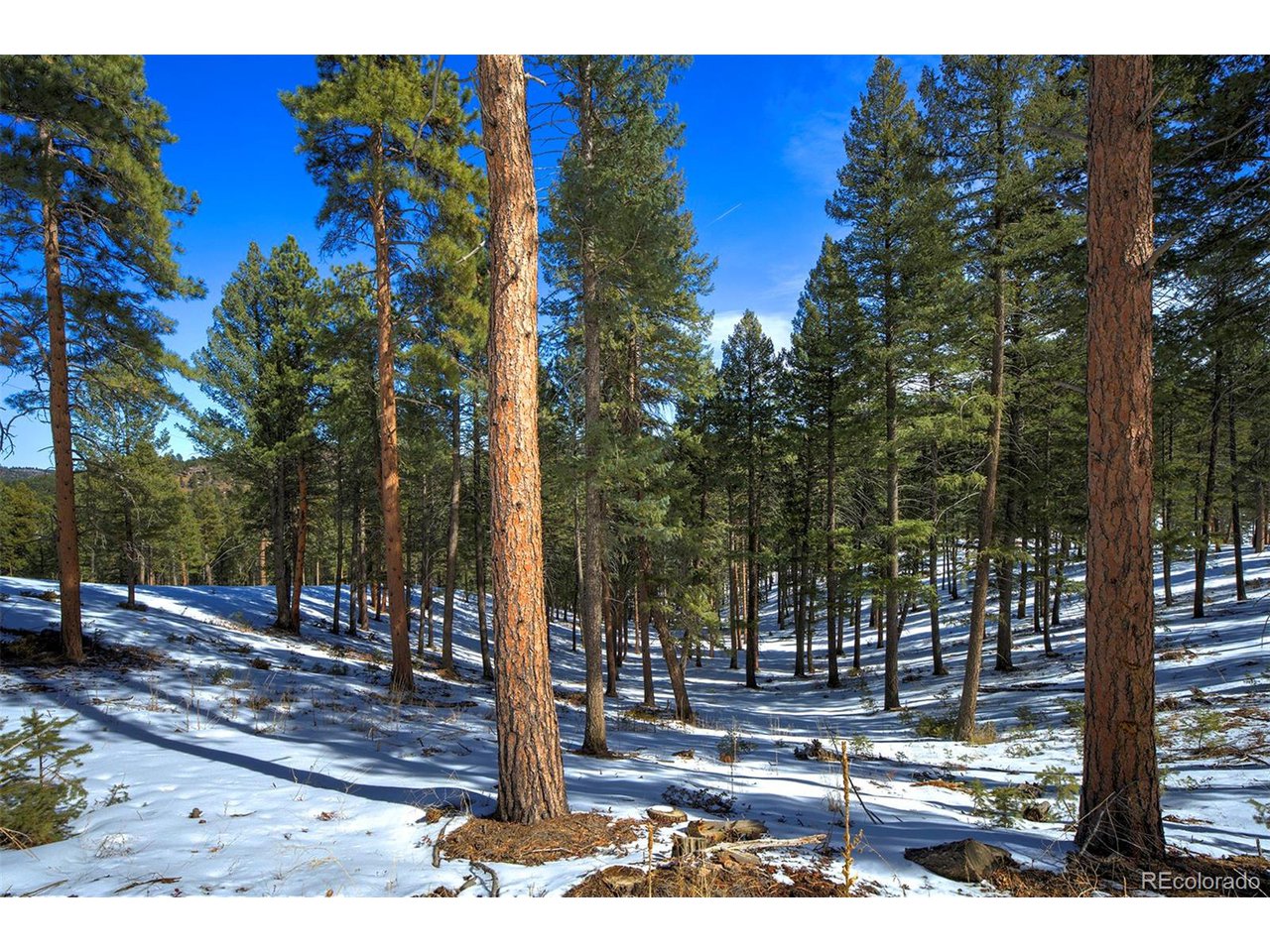 4 Iowa Gulch Road Morrison, CO 80465 - Photo 1 of 17