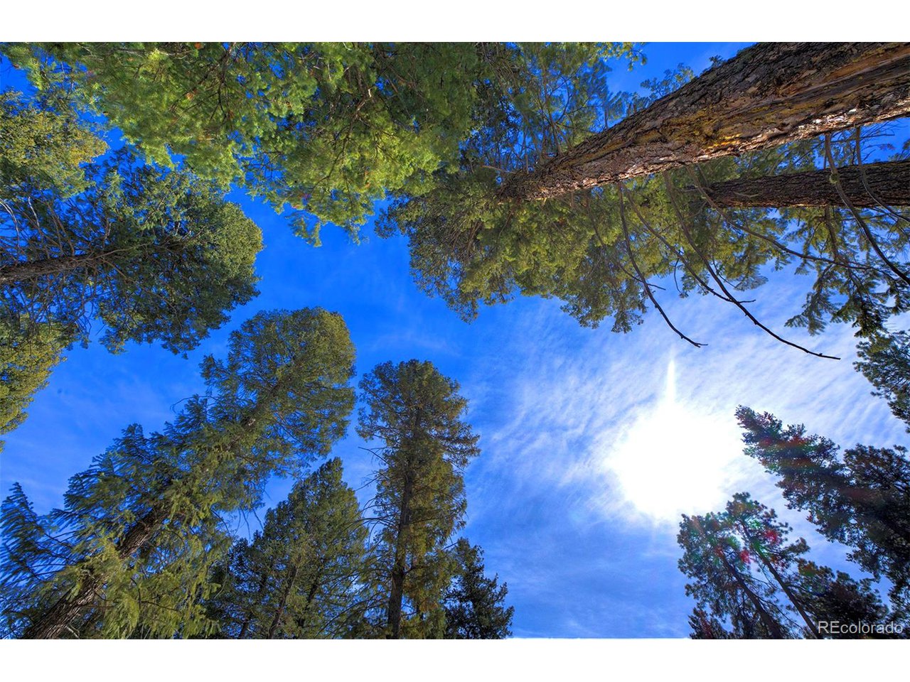 4 Iowa Gulch Road Morrison, CO 80465 - Photo 11 of 17