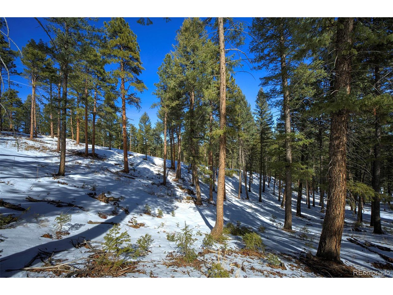 4 Iowa Gulch Road Morrison, CO 80465 - Photo 12 of 17