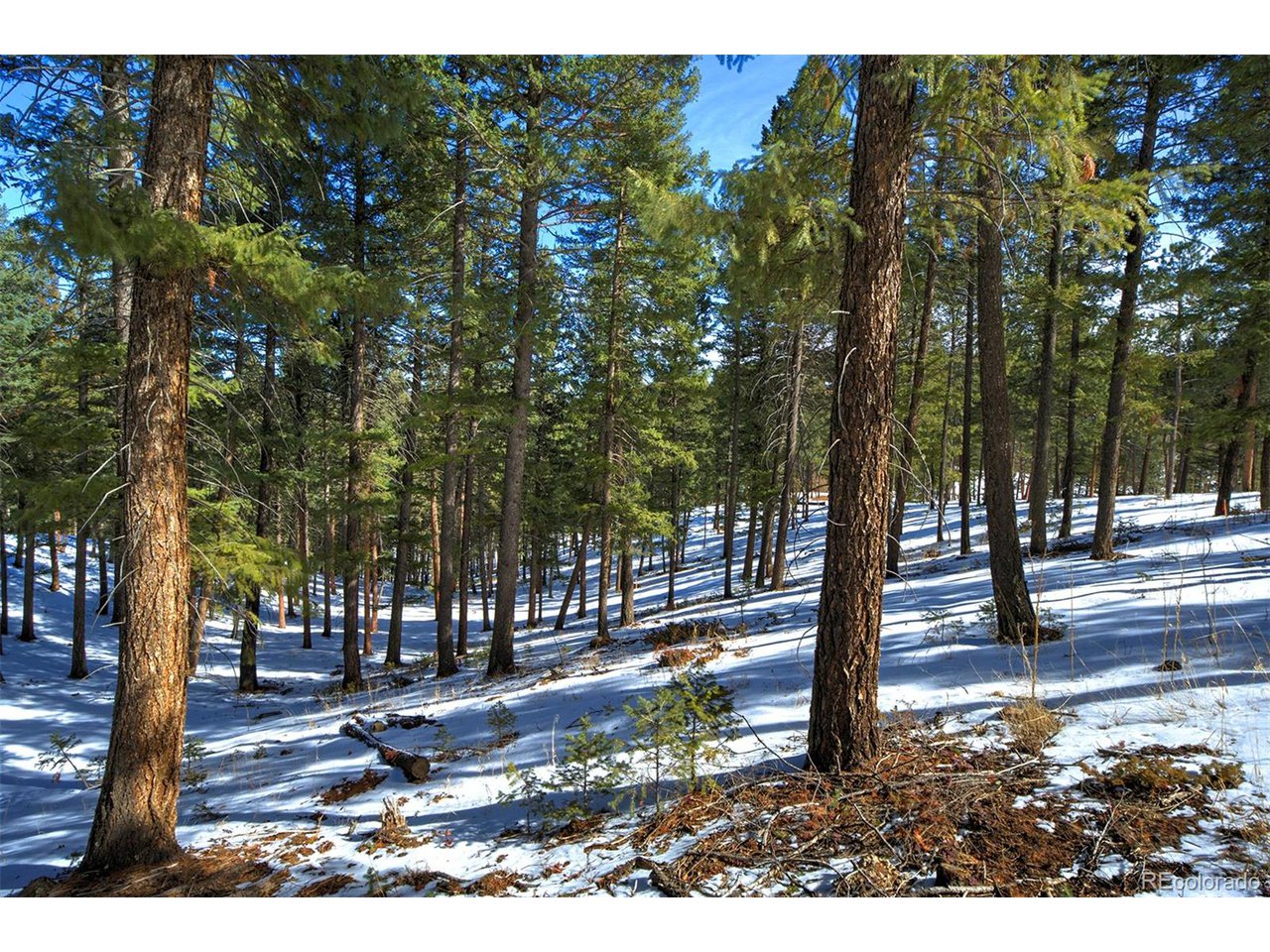 4 Iowa Gulch Road Morrison, CO 80465 - Photo 13 of 17